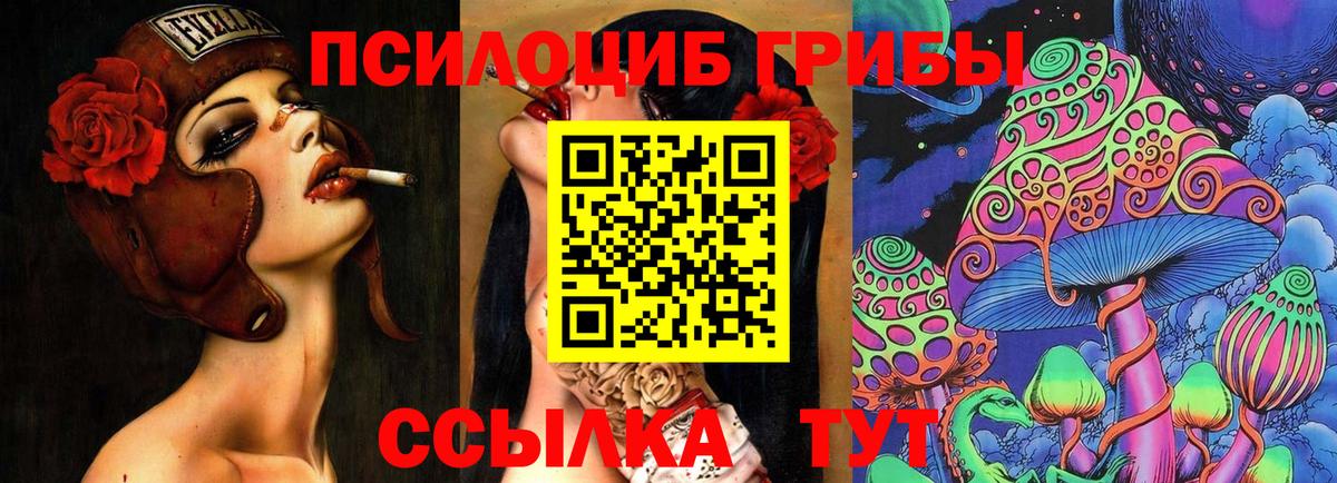 Псилоцибиновые грибы Psilocybine cubensis Киржач